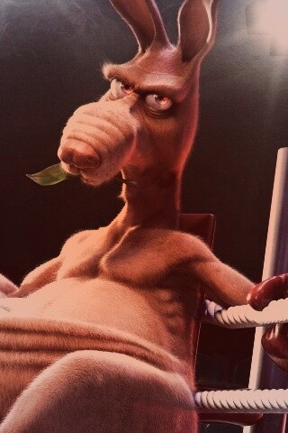 Кенгуру-боксер на ринге обои