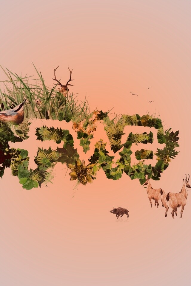 FWA обои