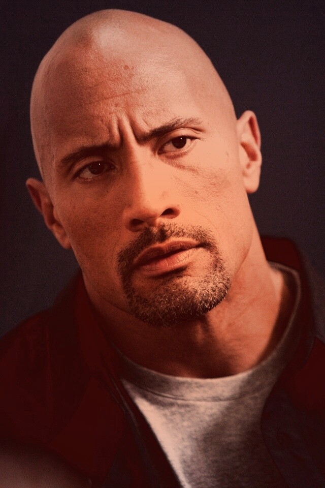 Dwayne johnson, Actor, Bald, Hair, Celebrity обои