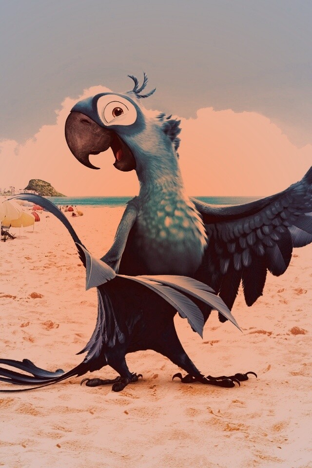 Blu из Rio обои