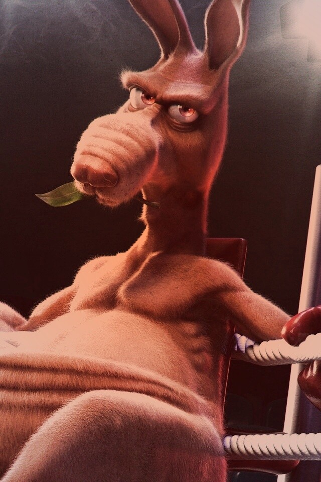 Кенгуру-боксер на ринге обои