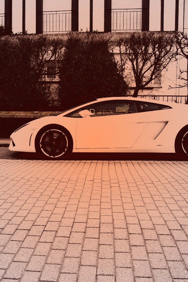 Белый Lamborghini обои