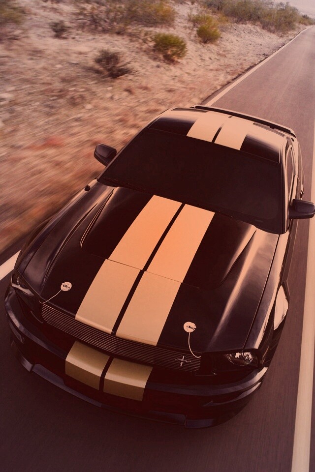 Ford Mustang  с гоночными полосками обои