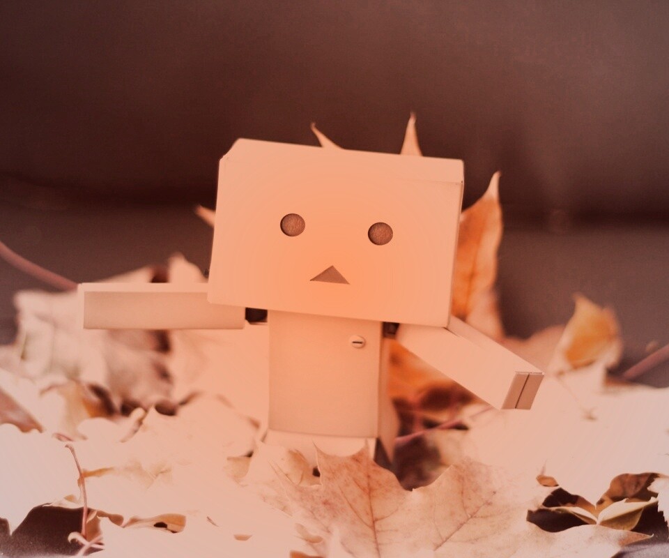  Yotsubato Danbo резвится листьях обои