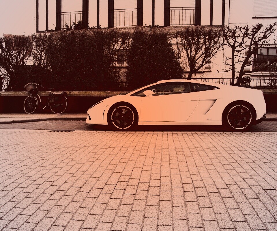Белый Lamborghini обои