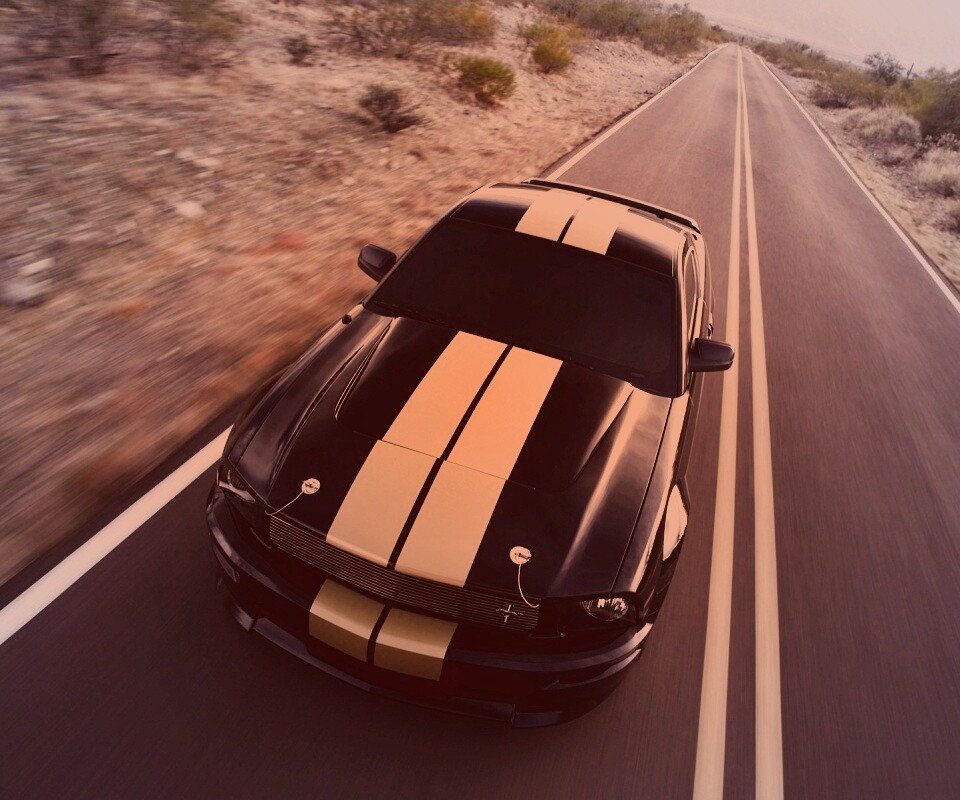 Ford Mustang  с гоночными полосками обои