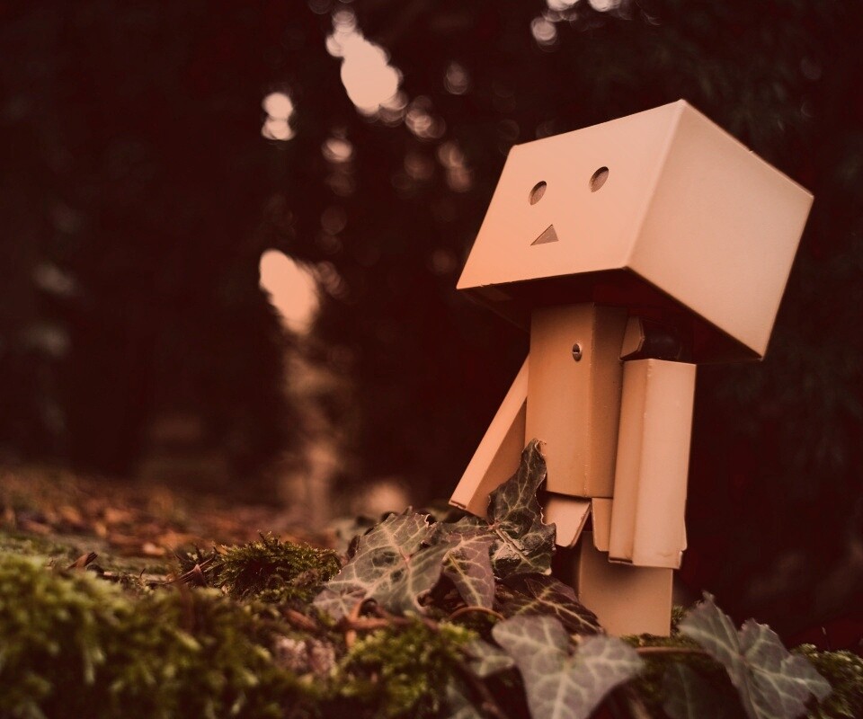 Danbo смотрит вверх обои
