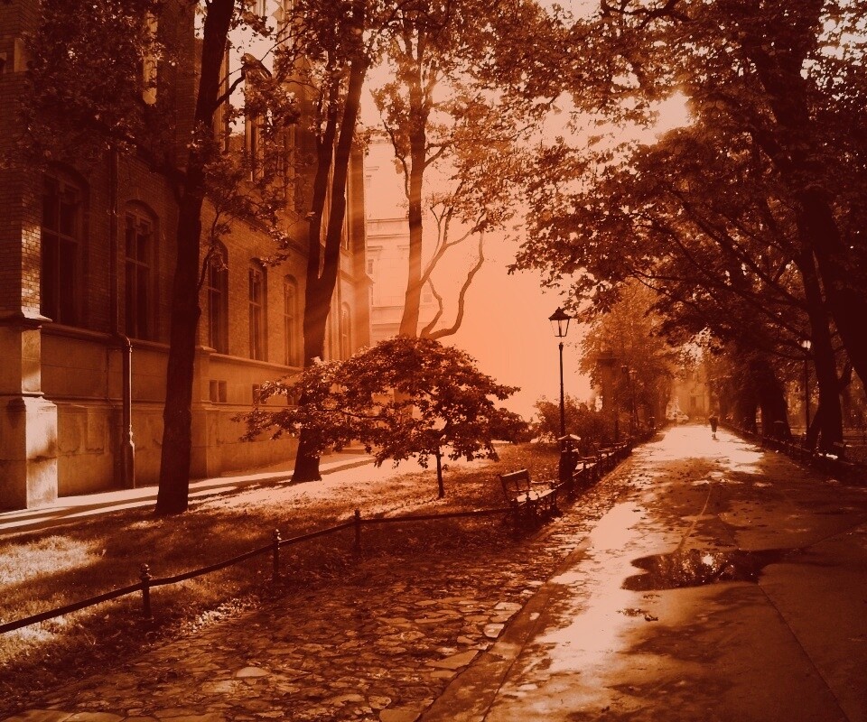 Аллея у здания обои