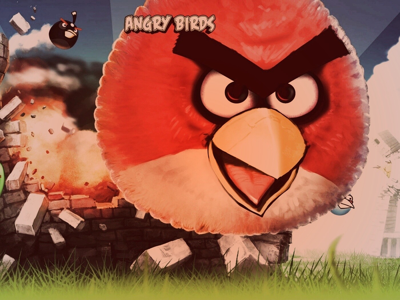 Angry Birds обои