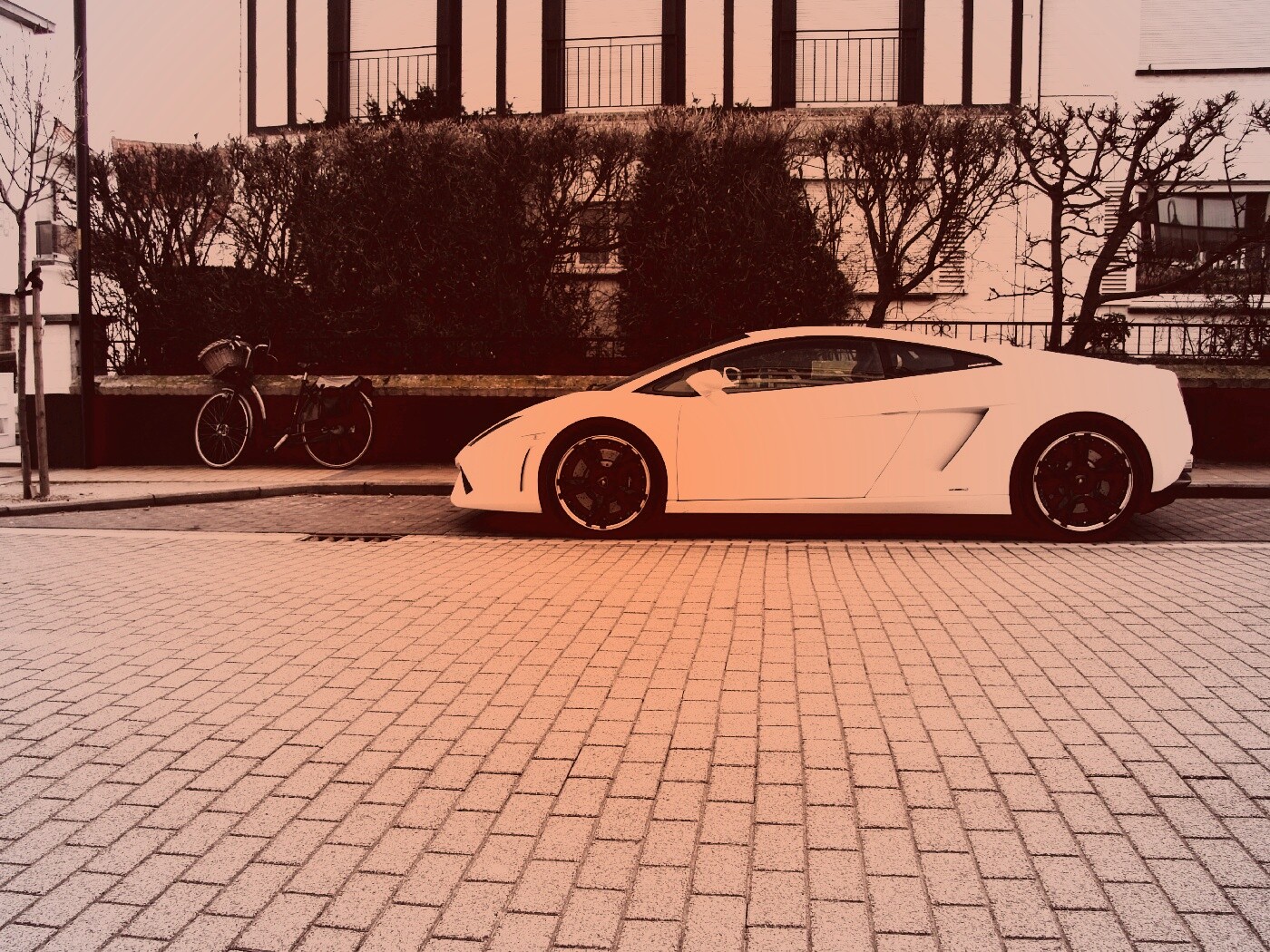 Белый Lamborghini обои