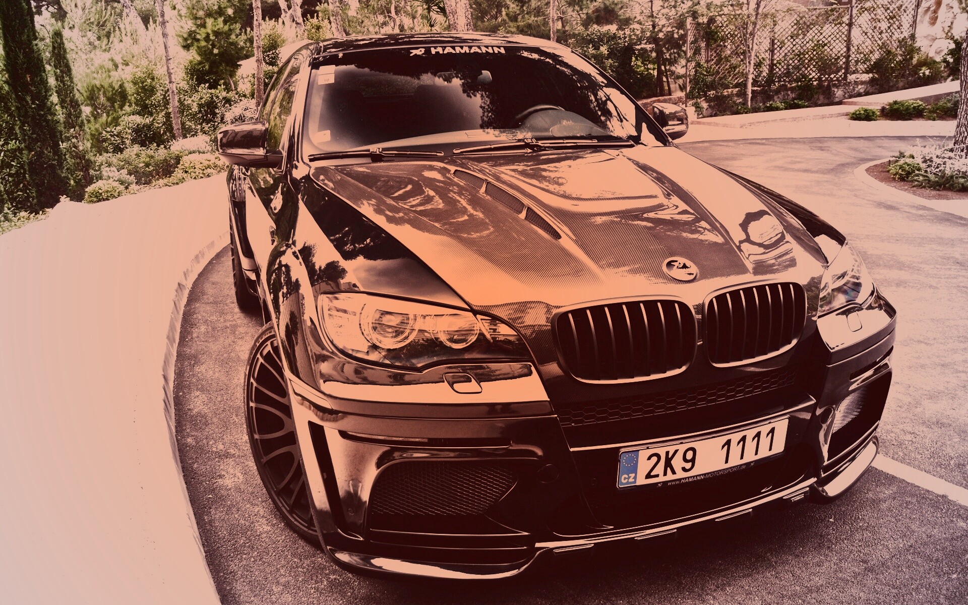 BMW X6 обои