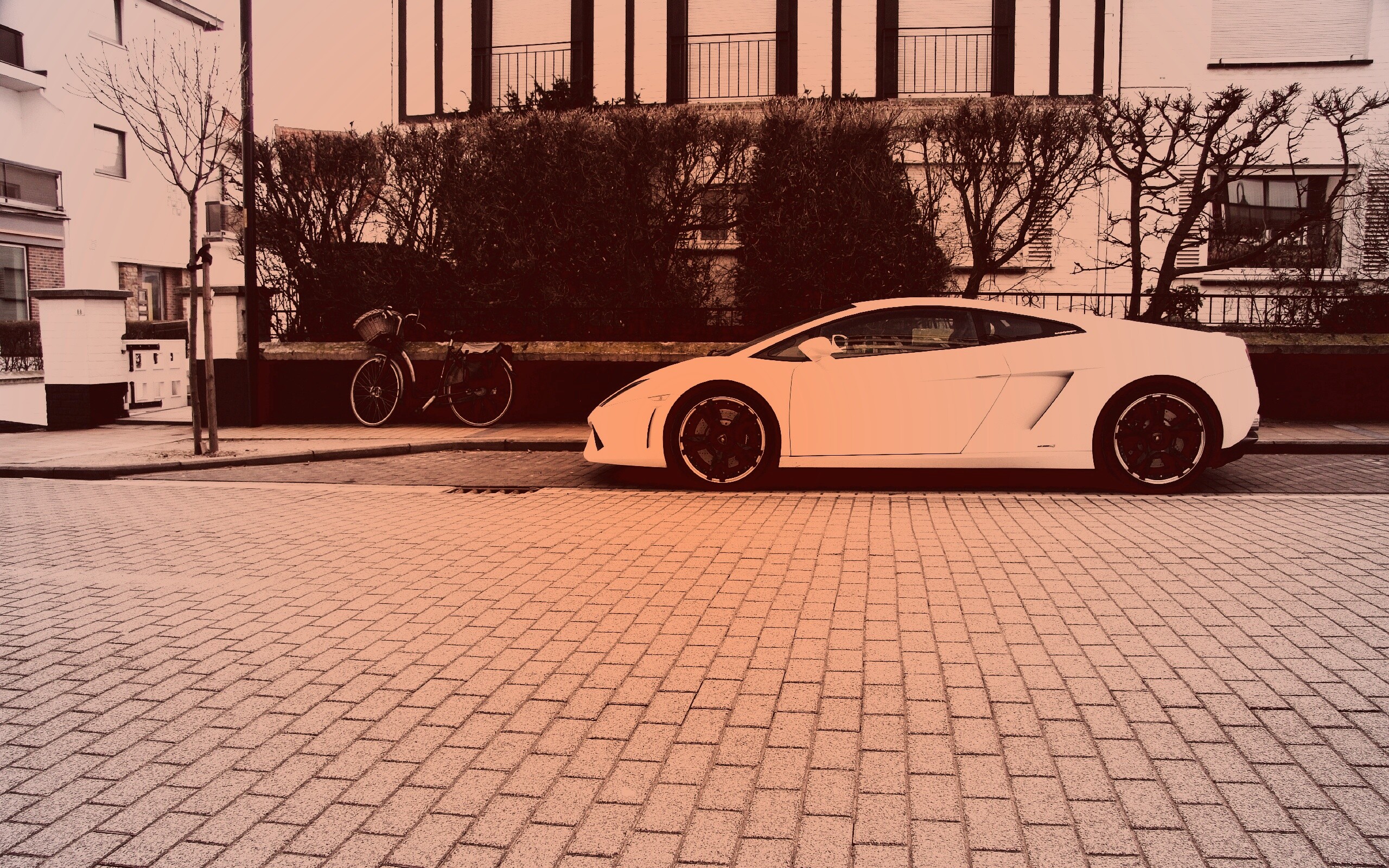 Белый Lamborghini обои