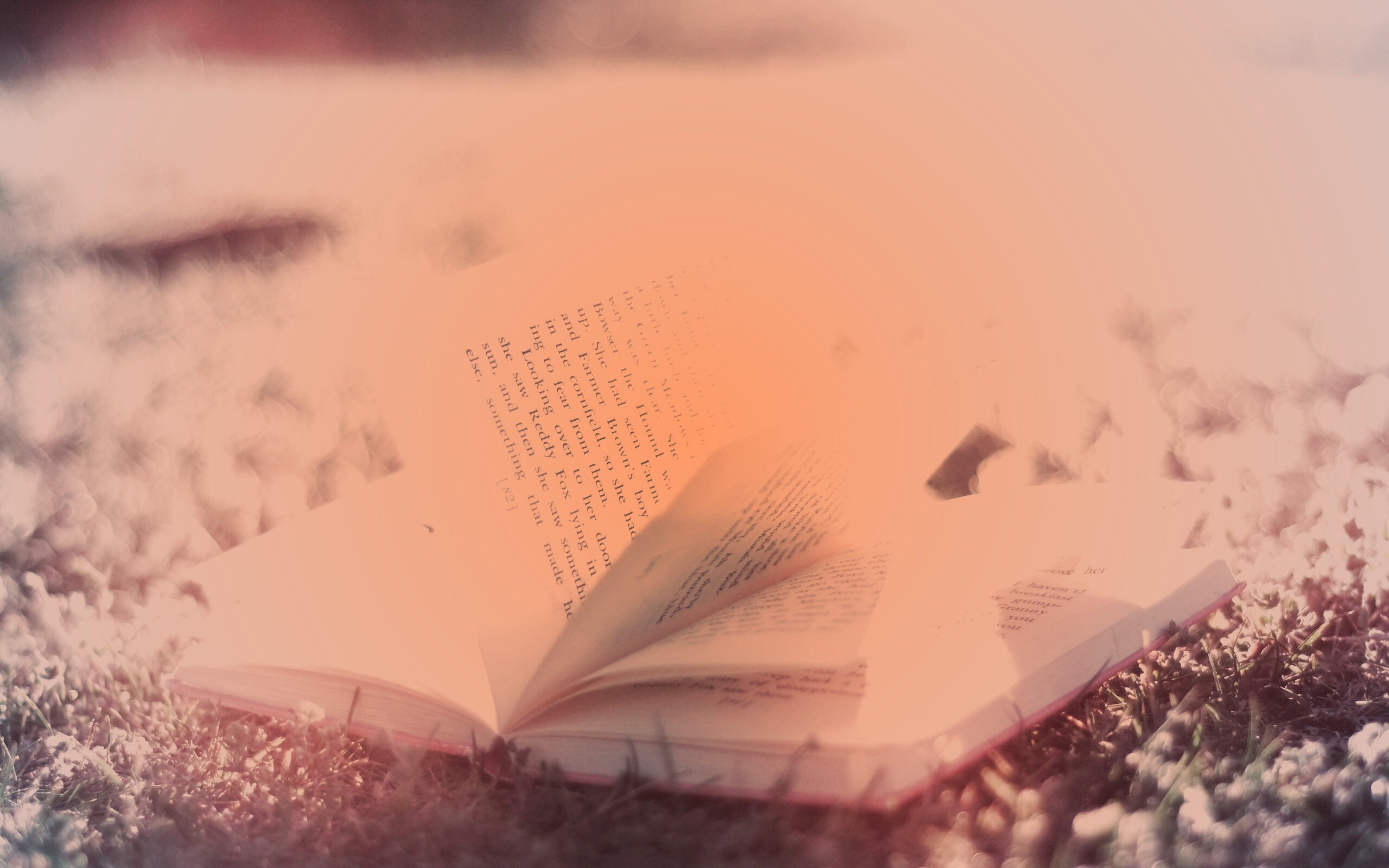 Книга в нежном свете обои