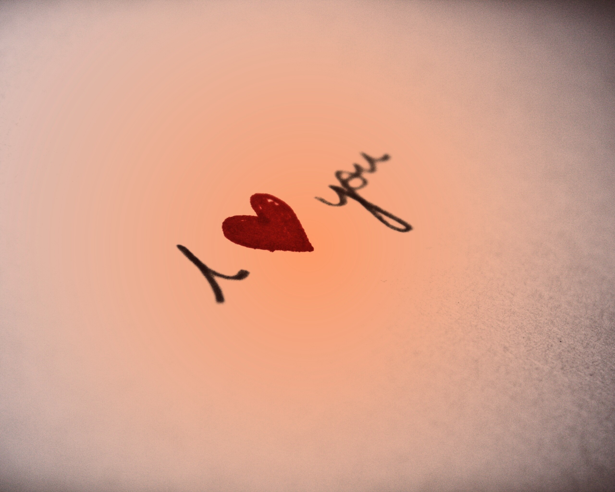 I love you обои