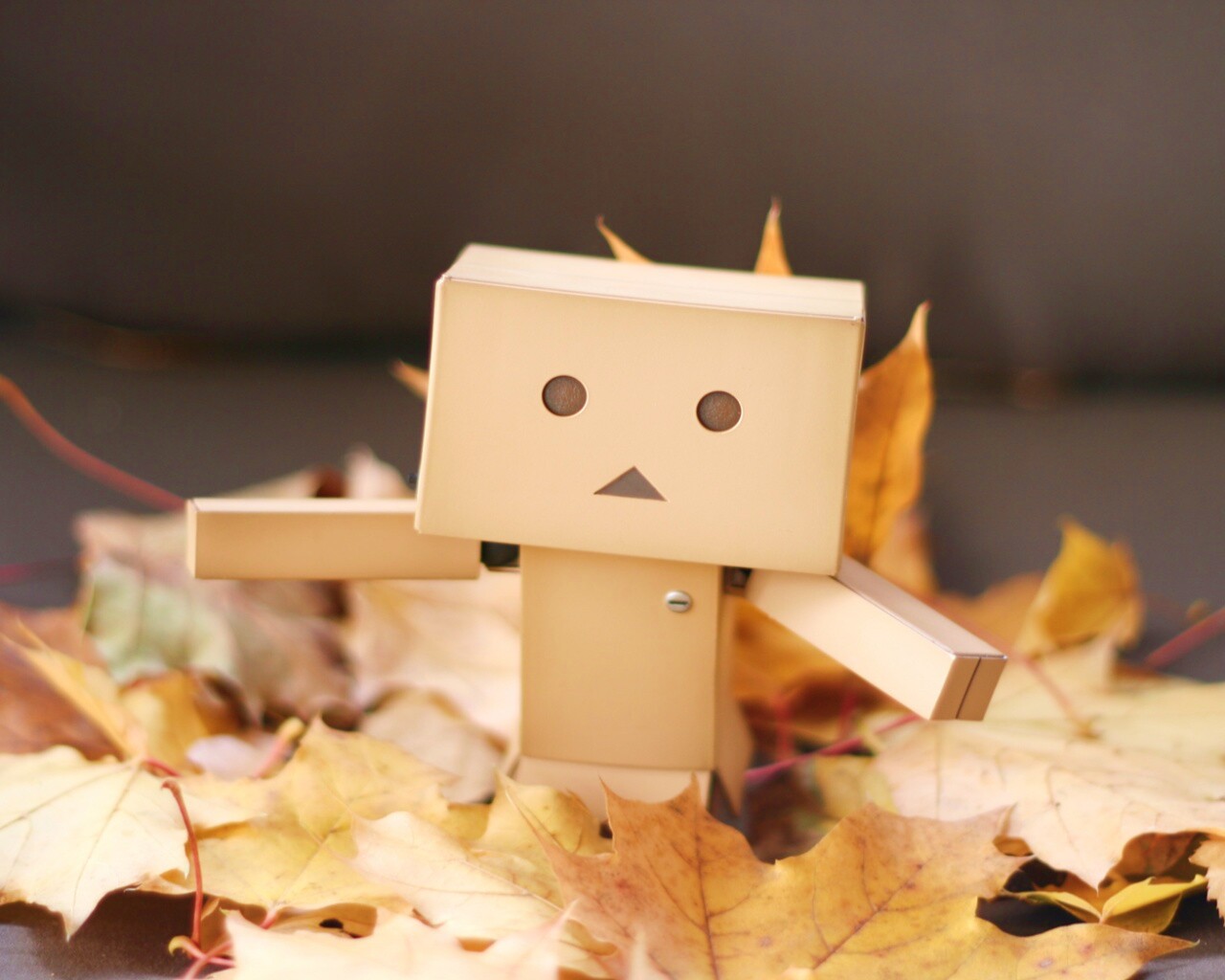  Yotsubato Danbo резвится листьях обои