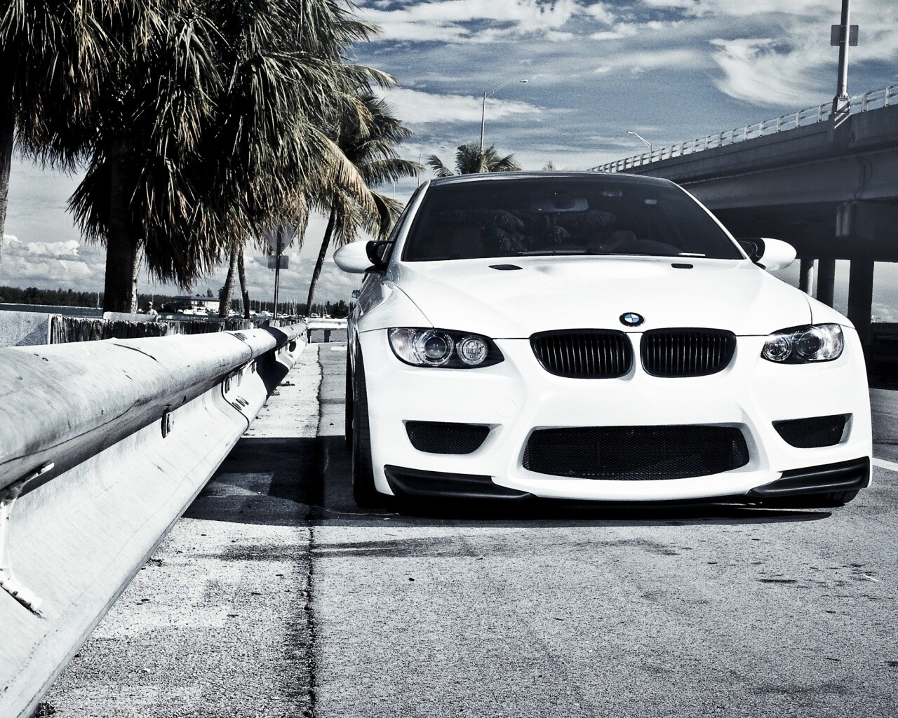 BMW в тропиках обои