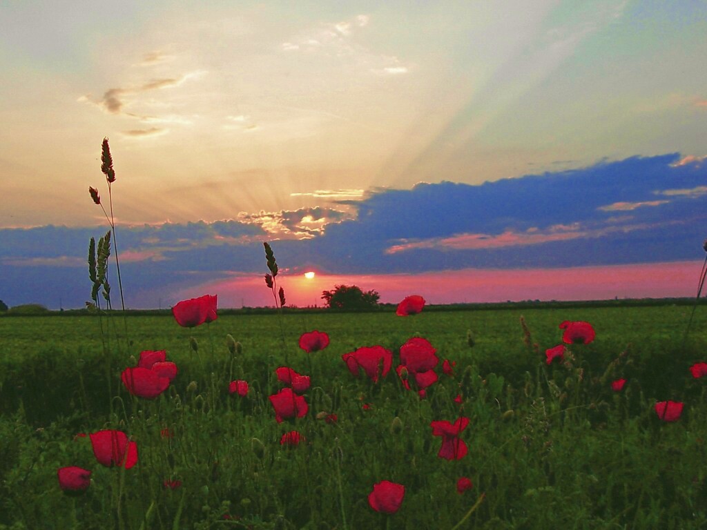 Закат обои