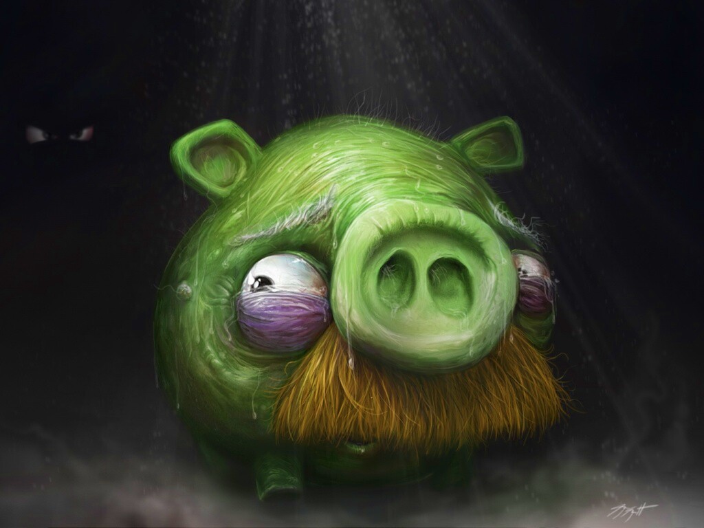 Свинья из Angry Birds обои