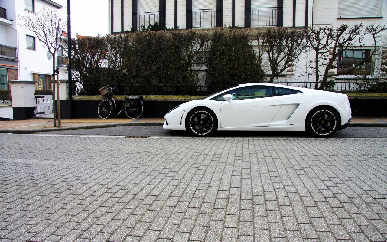 Белый Lamborghini обои