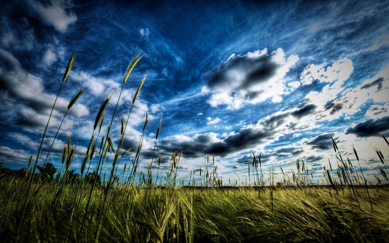 HDR Поле обои