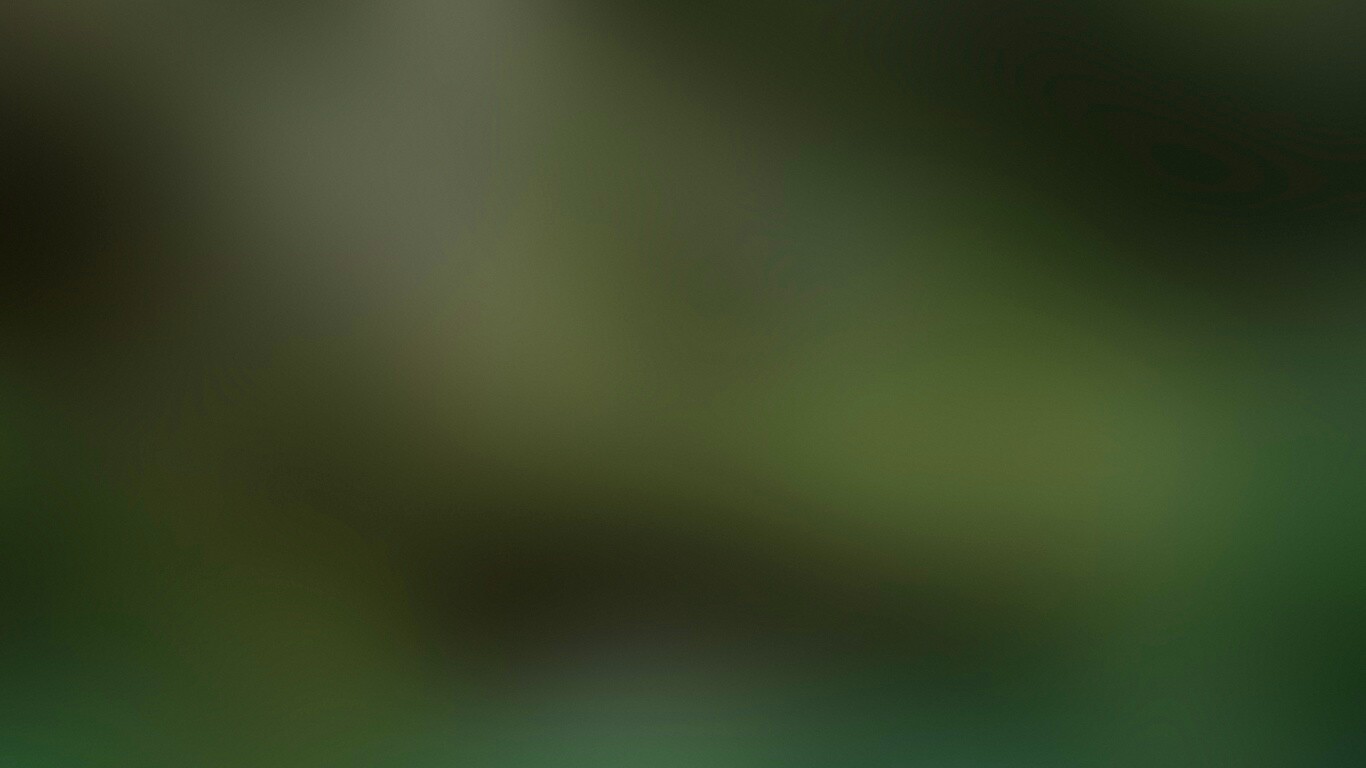Лес обои
