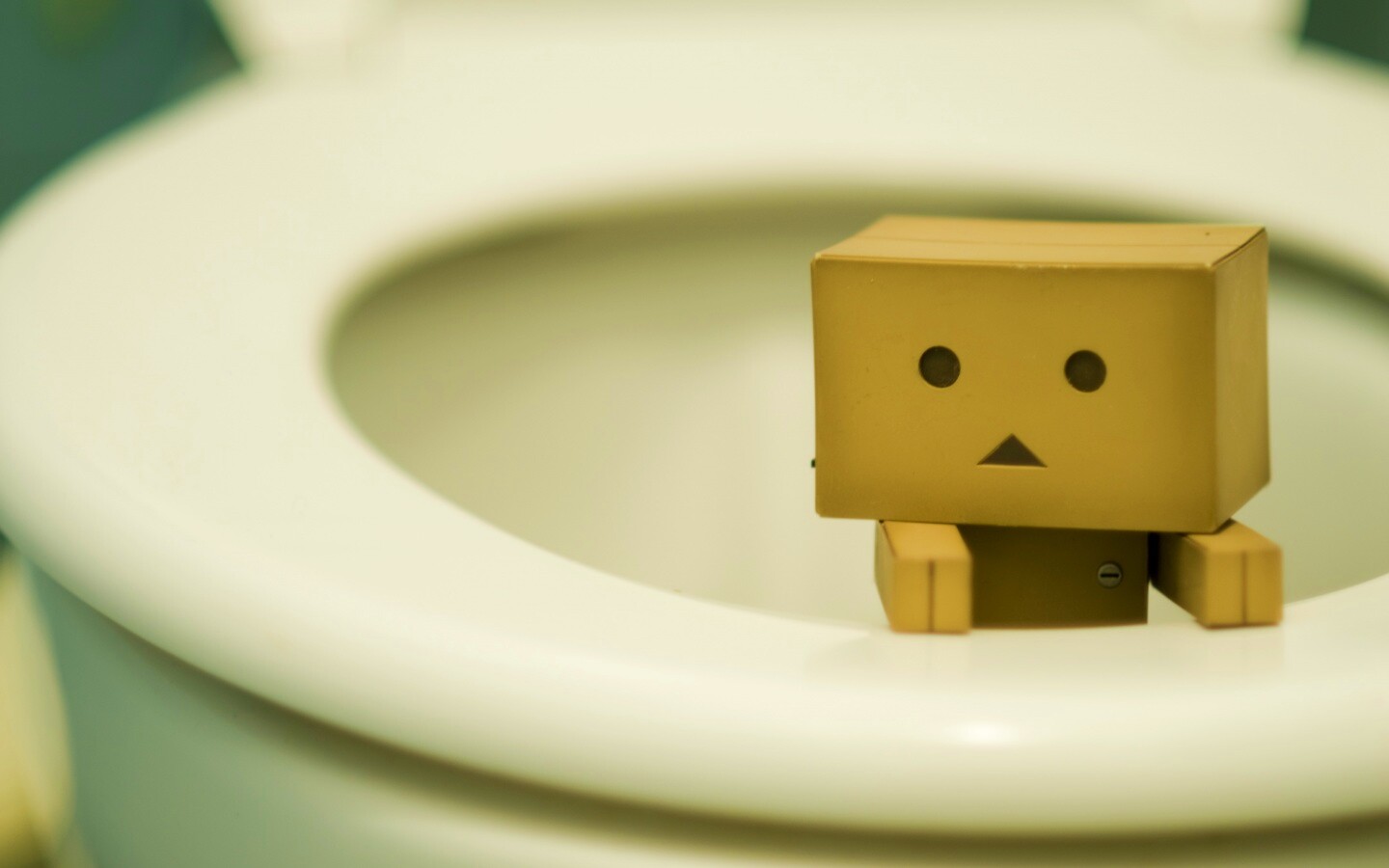 Danbo в унитазе обои