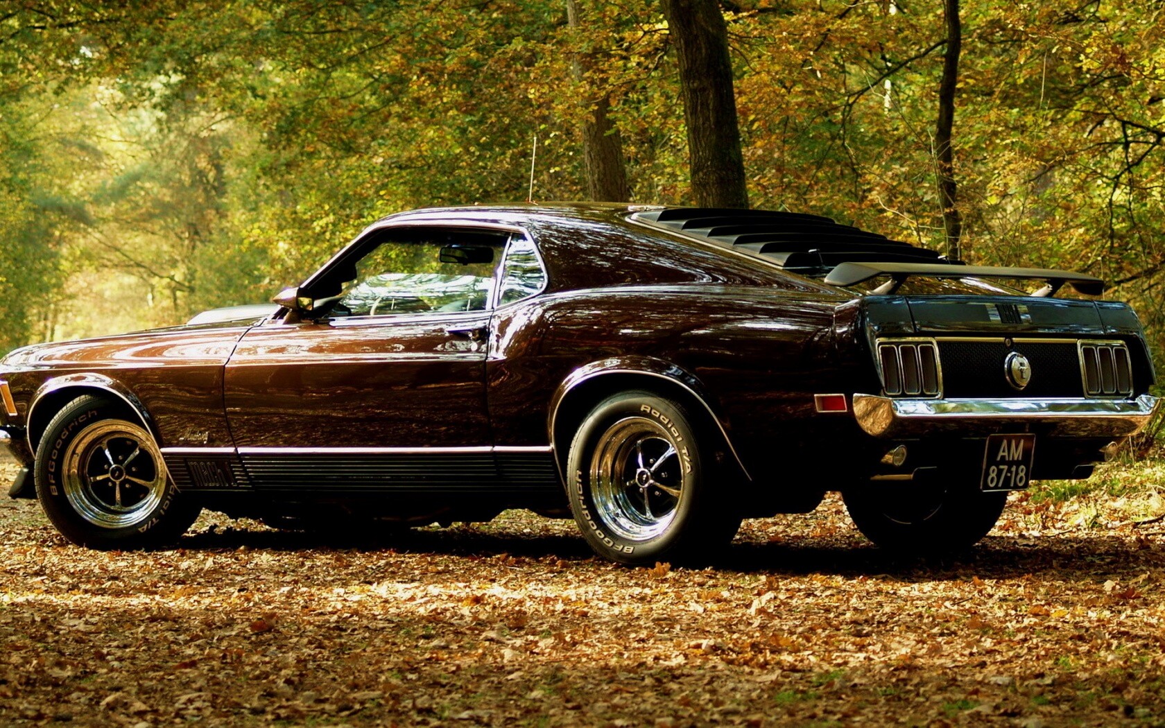 Ford обои