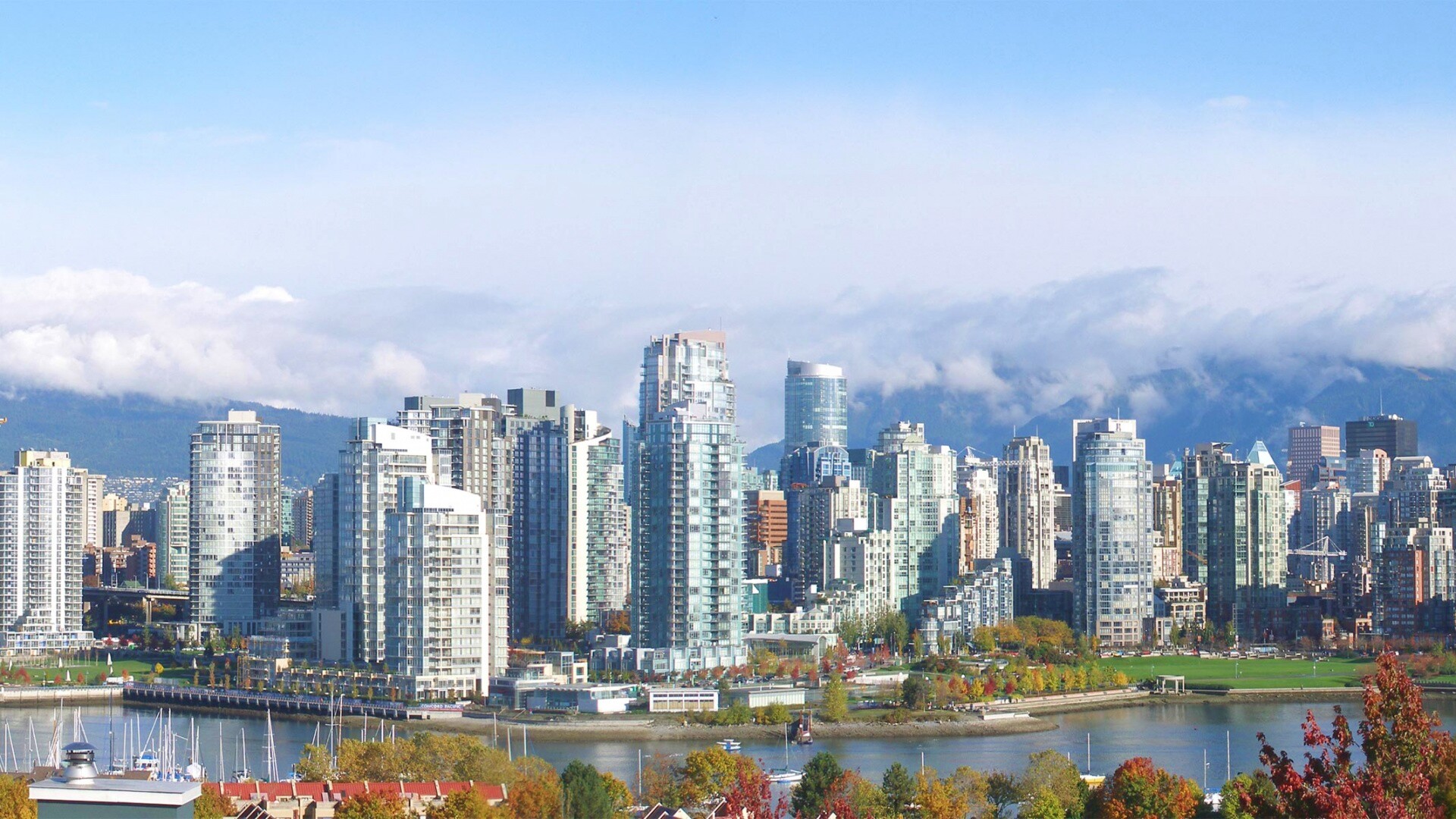 Панорама города обои