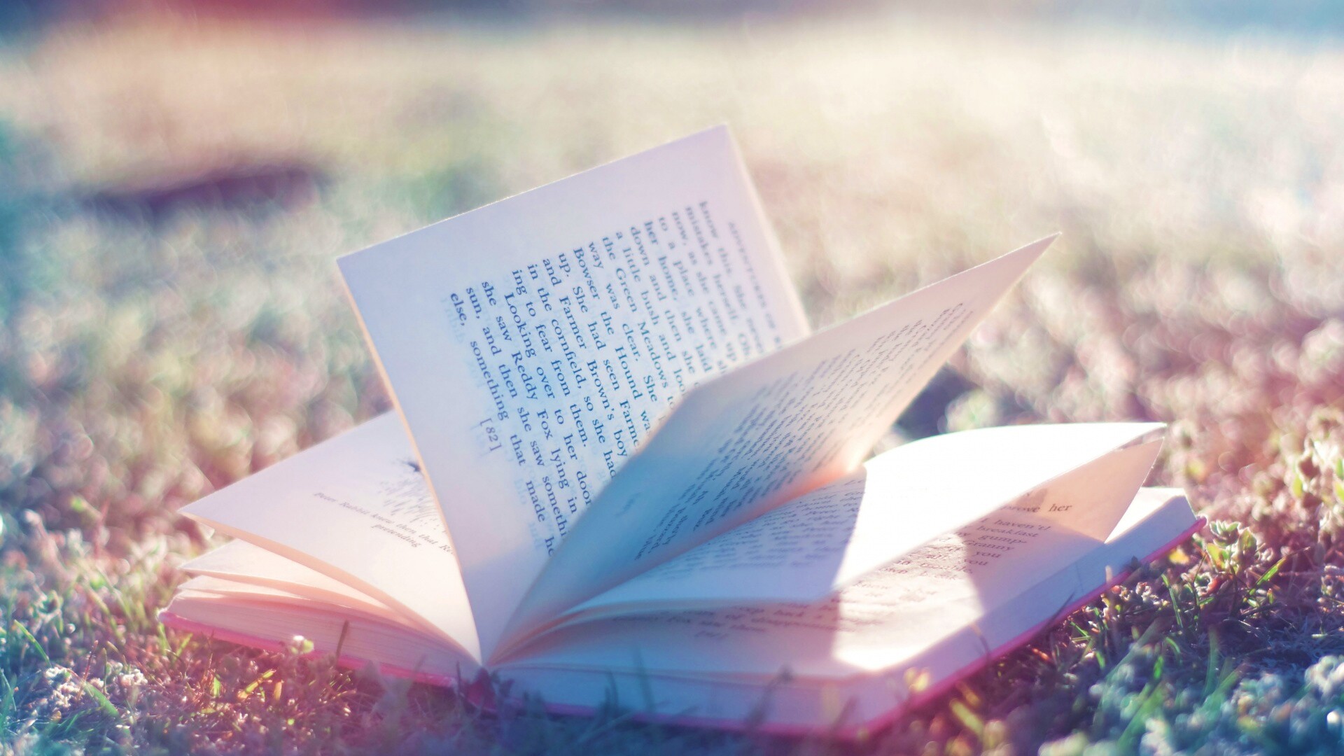 Книга в нежном свете обои