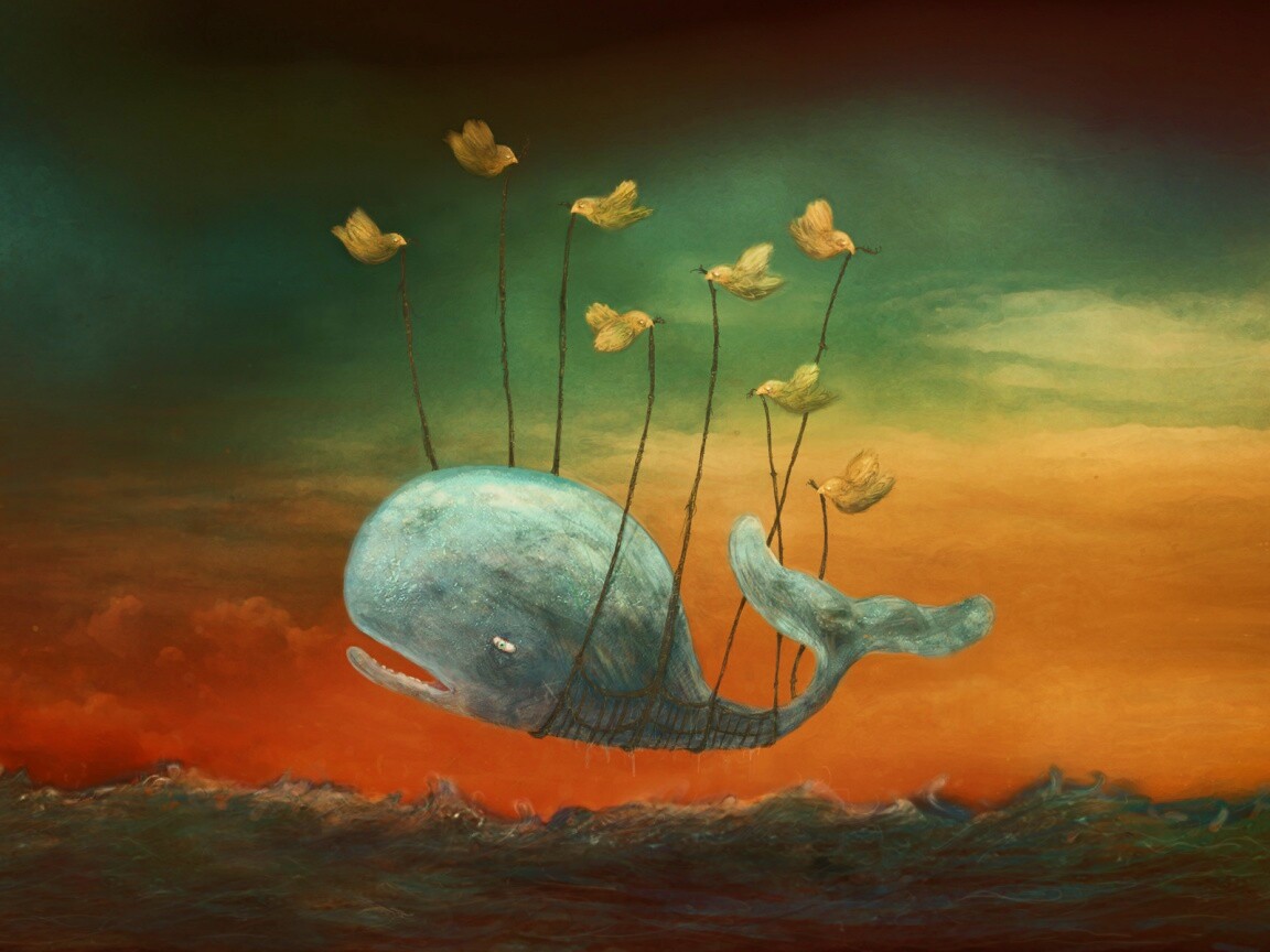 Twitter Fail-Whale обои