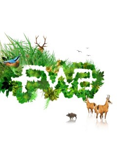 FWA обои