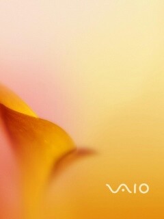 Цветок и логотип Vaio обои