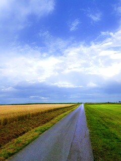 Сельский пейзаж обои