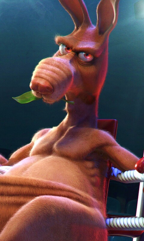 Кенгуру-боксер на ринге обои