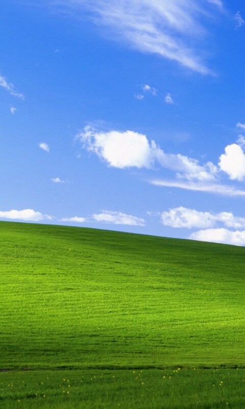 Стандартные обои Windows XP обои