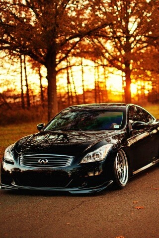 Infiniti обои