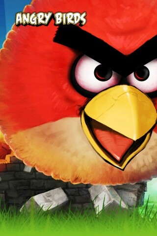 Angry Birds обои