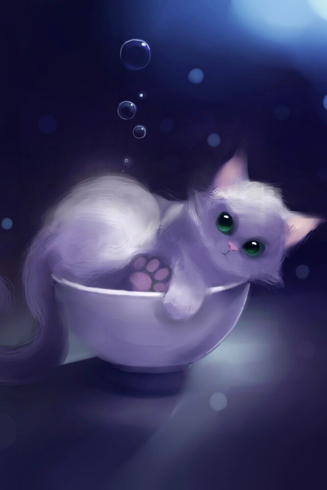 Котёнок в миске обои