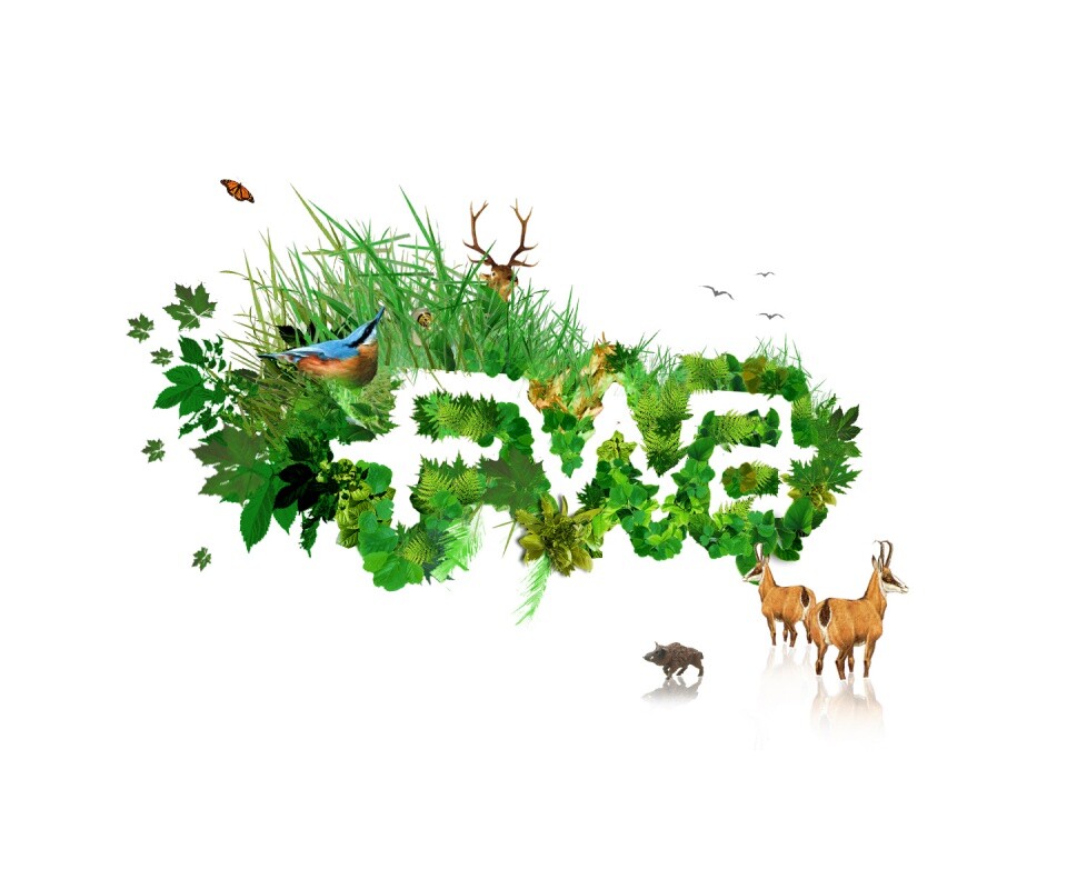 FWA обои