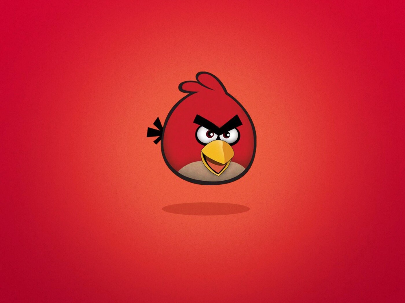 Красная птица из Angry Birds обои