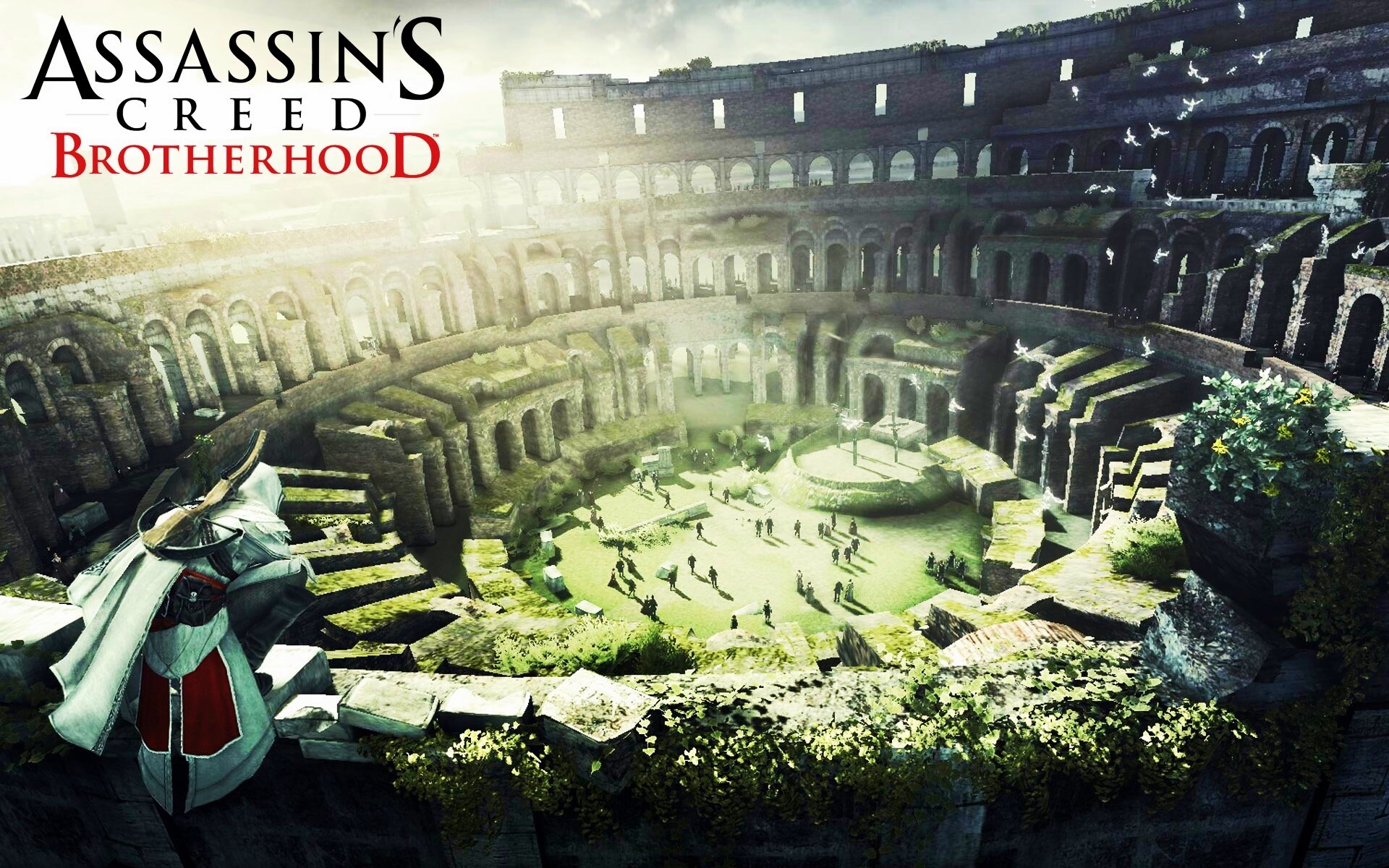 Assasin"s Creed Brotherhood обои