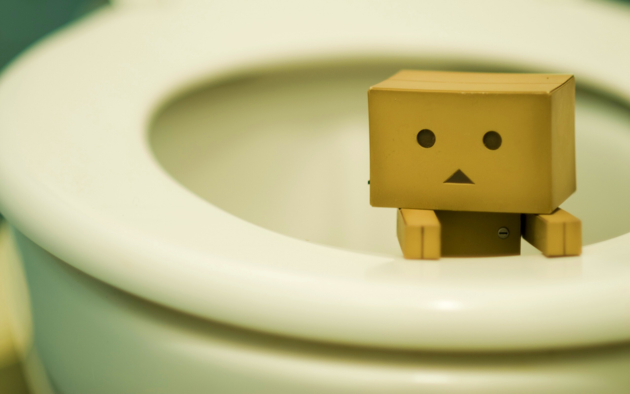 Danbo в унитазе обои