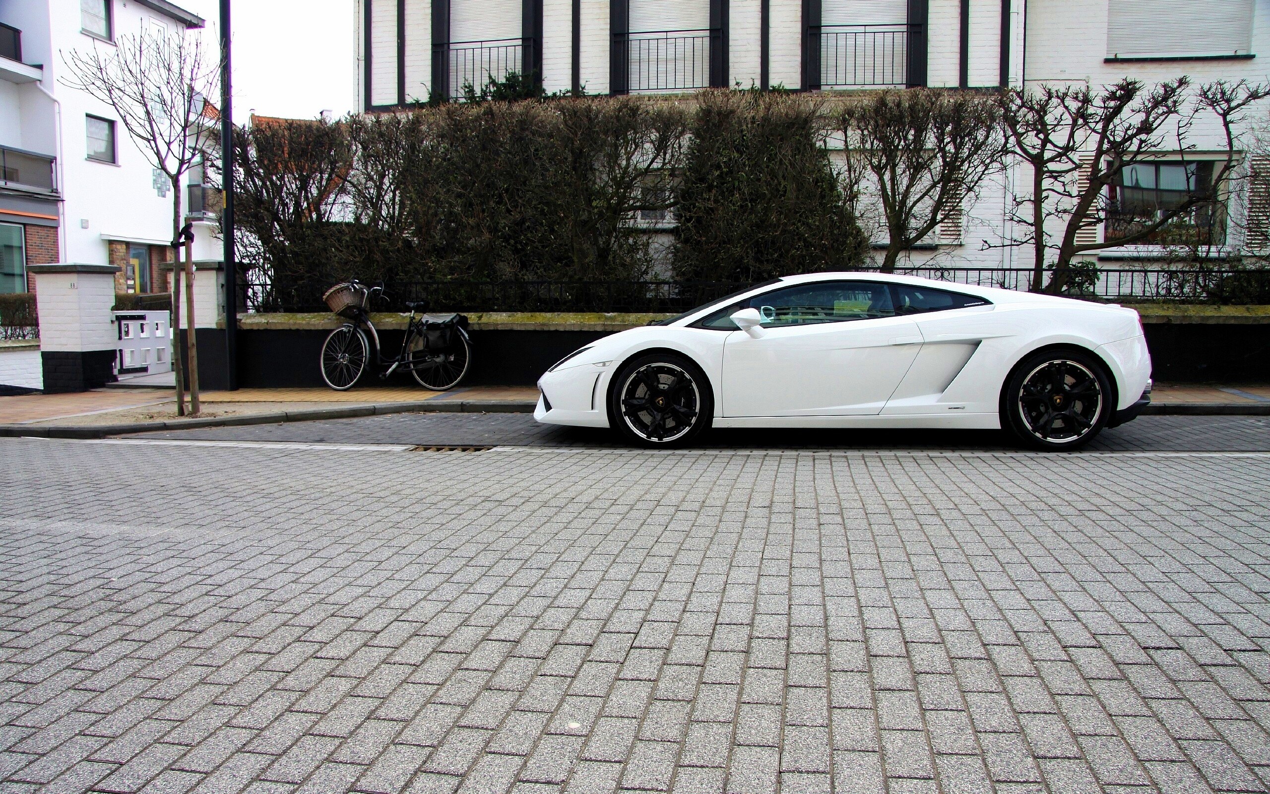 Белый Lamborghini обои