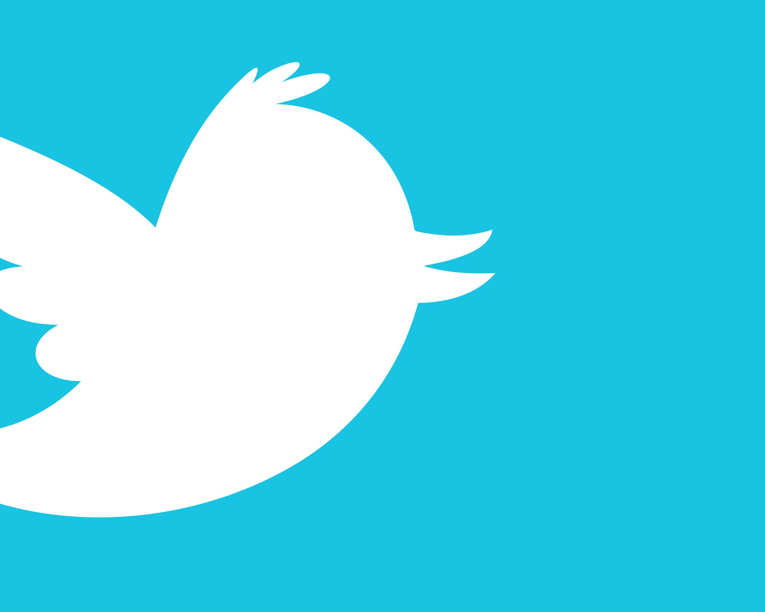 Twitter обои