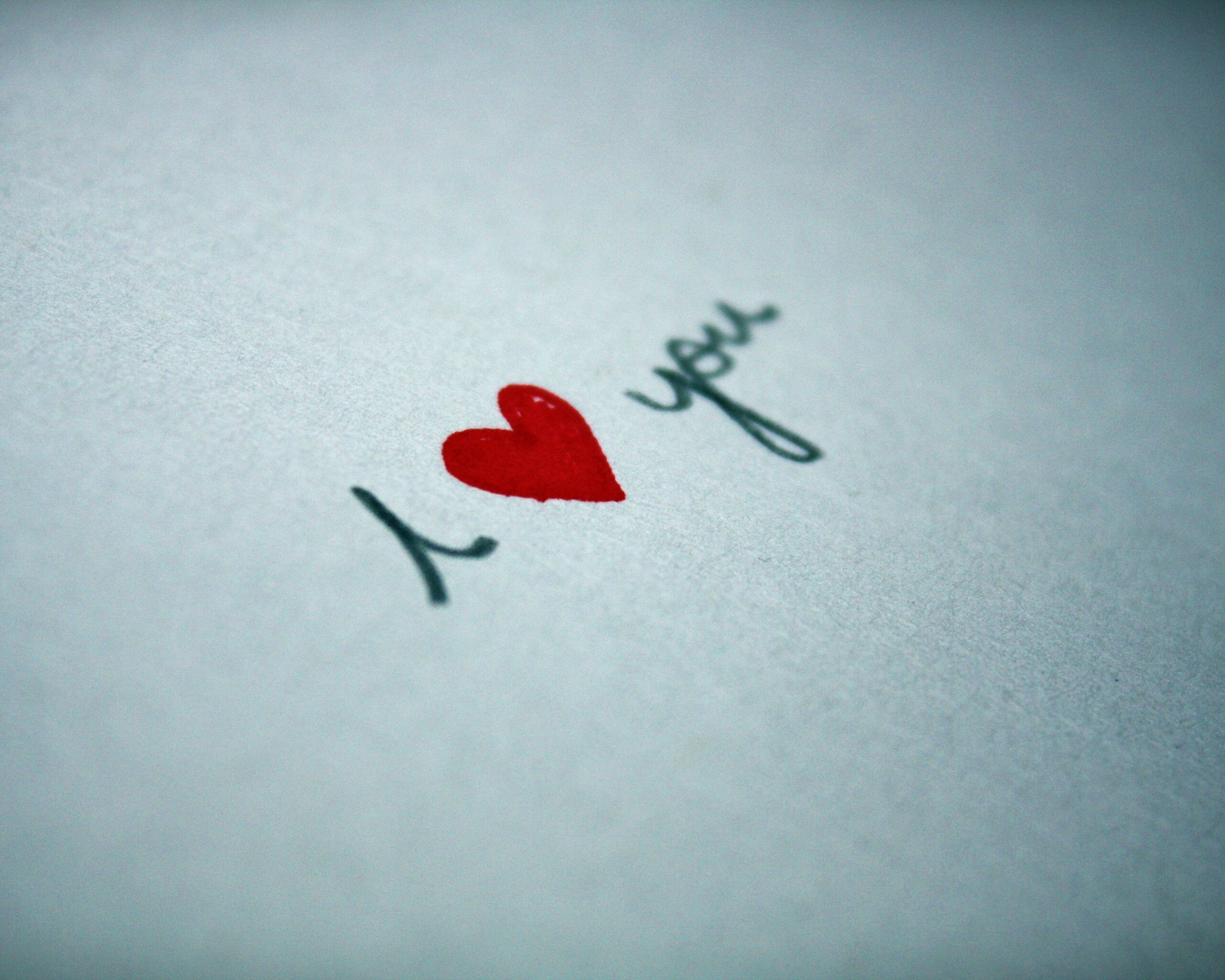I love you обои