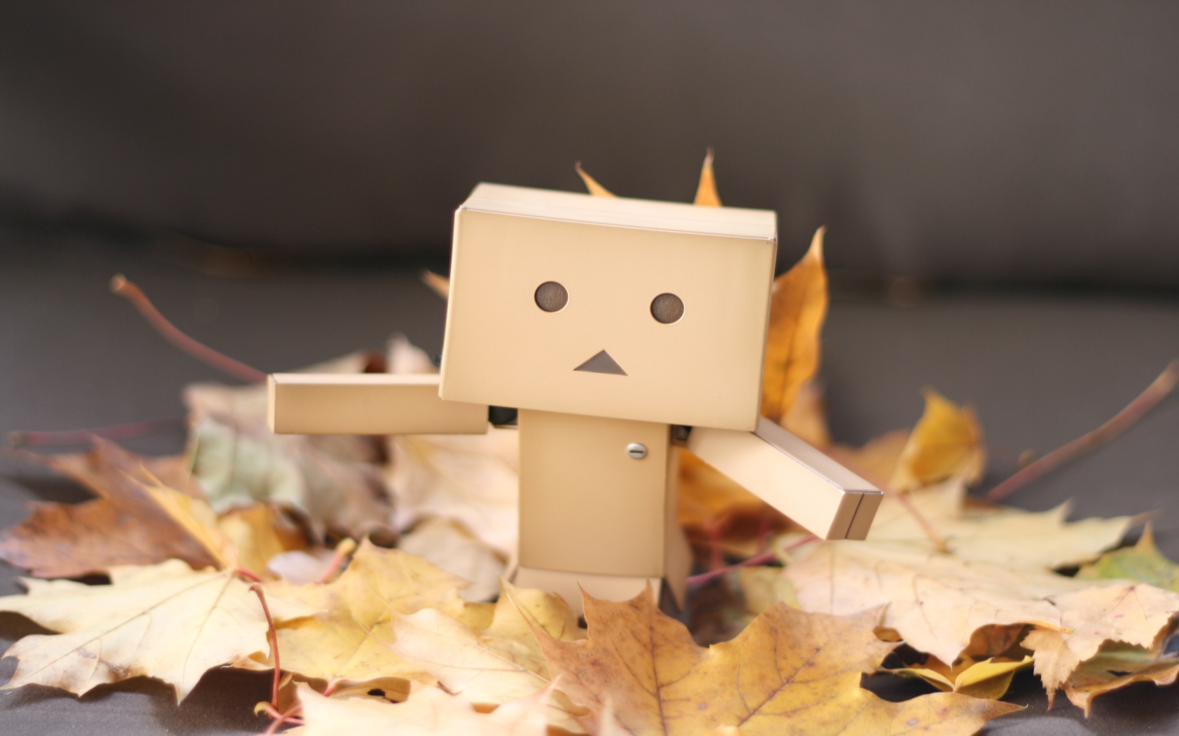  Yotsubato Danbo резвится листьях обои