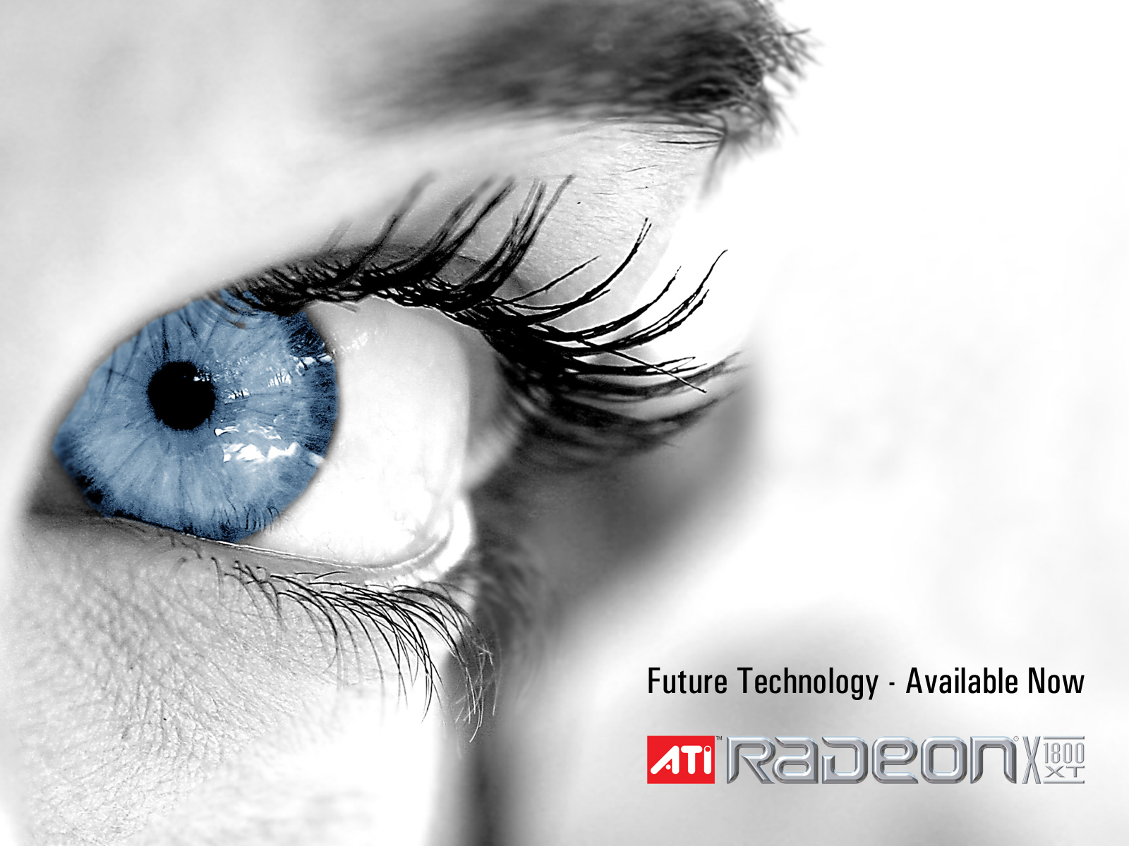 Ati Radeon Future Technology - available now обои