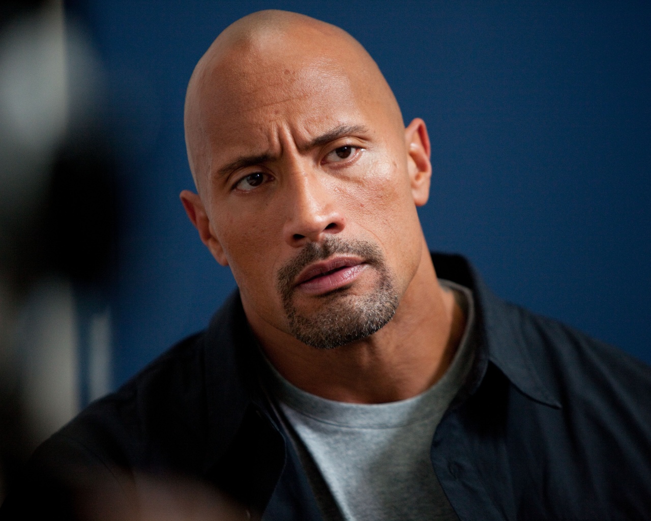 Dwayne johnson, Actor, Bald, Hair, Celebrity обои