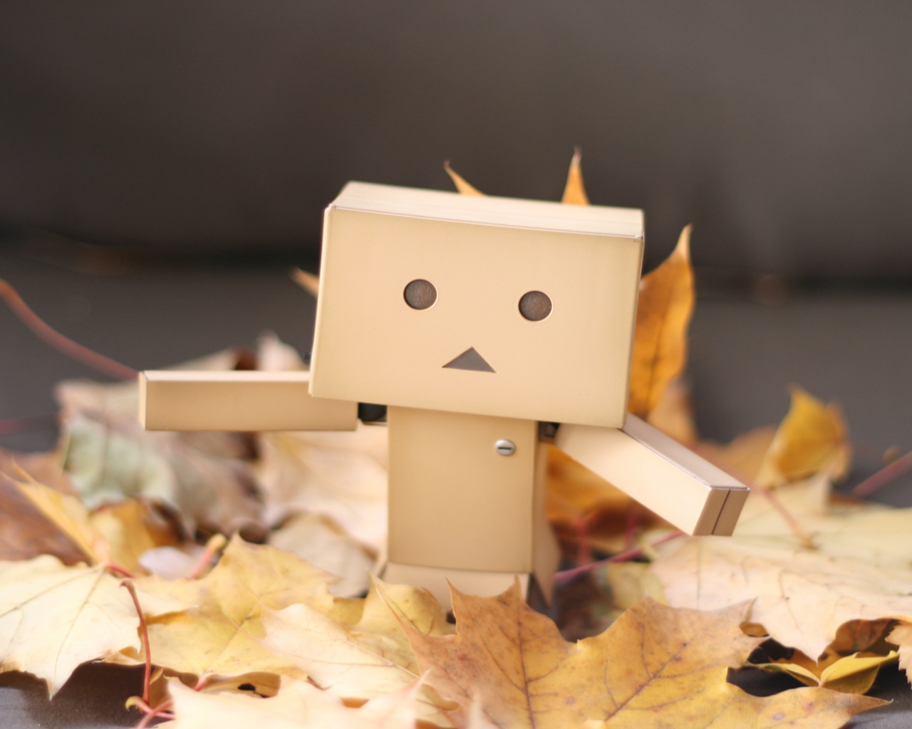  Yotsubato Danbo резвится листьях обои