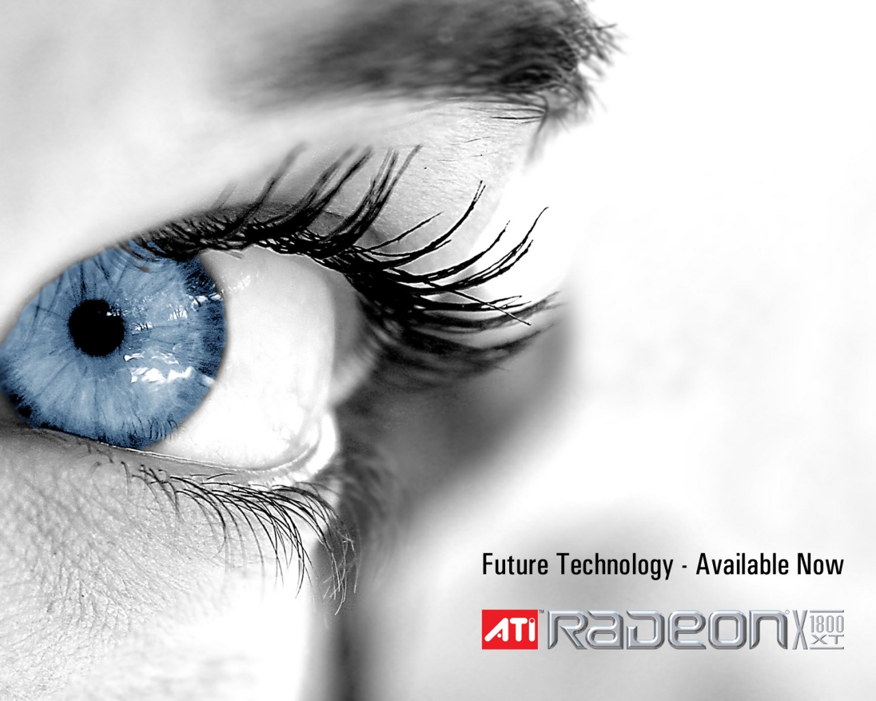 Ati Radeon Future Technology - available now обои